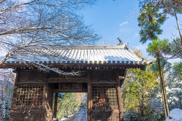 Fototapeta 初雪の輪王寺