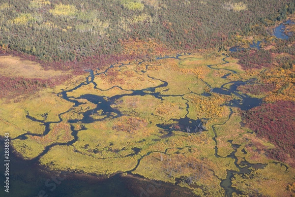 Fototapeta Alaskan Floodplain