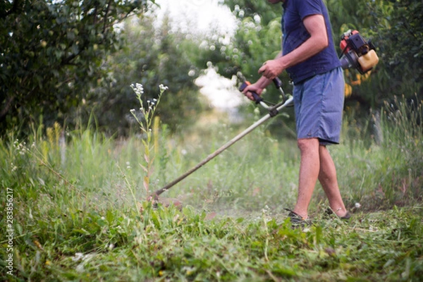 Fototapeta Worker mowing green grass with a trimming machine