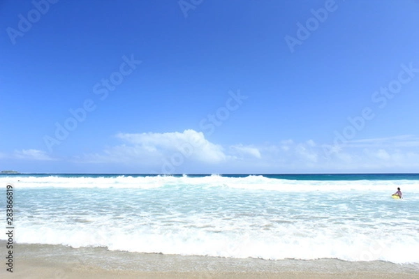 Fototapeta 伊豆下田　台風前の大波の入田浜