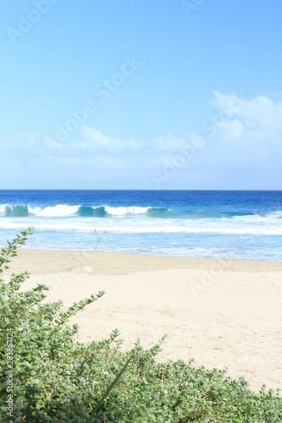 Fototapeta 伊豆下田　台風前の大波の入田浜