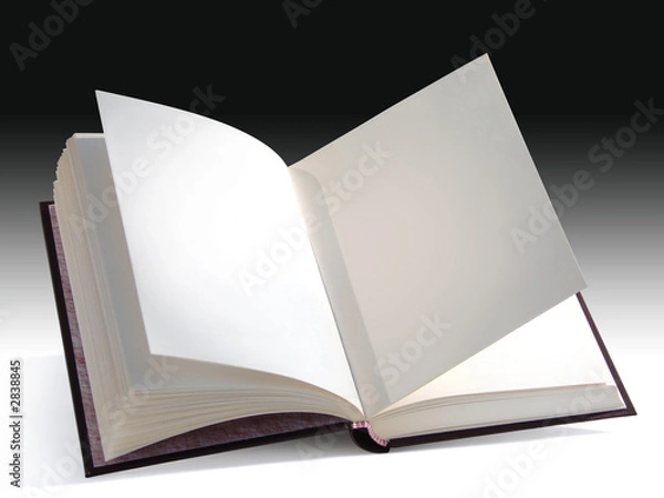 Obraz otwarta książka
