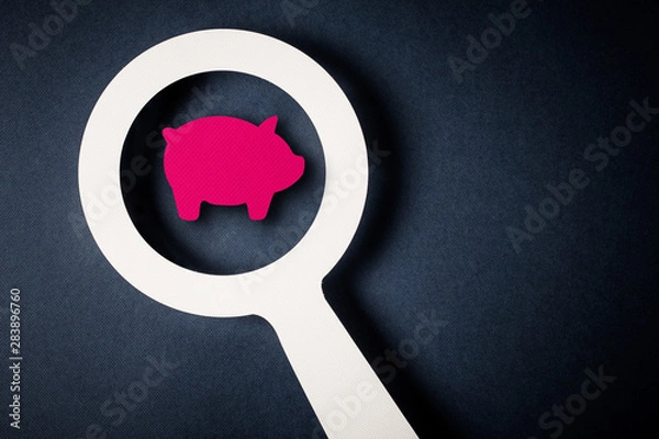 Obraz Checking finance with magnifying glass