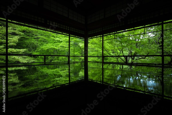 Fototapeta 京都府 瑠璃光院 新緑