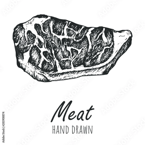 Fototapeta Steak meat vector sketch, isolated hand drawn icon.