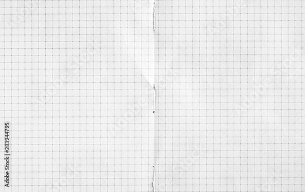Fototapeta Double spread of white checkered exercise book paper. Notebook paper texture background.