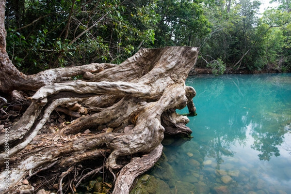 Obraz カードウェルの川