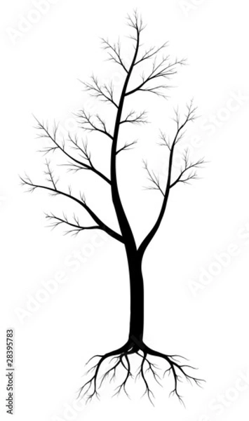 Fototapeta Силуэт дерева