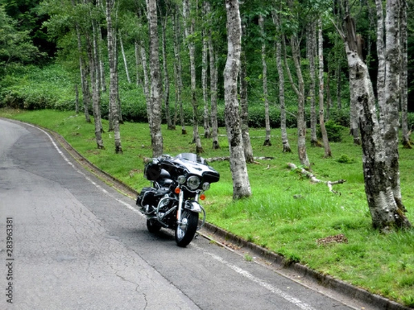 Obraz ビーナスラインツーリング07