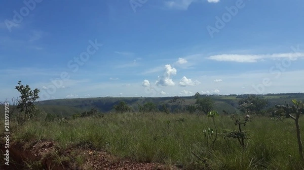 Obraz landscape with trees and clouds