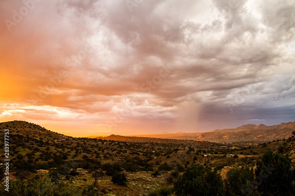 Obraz New Mexico Desert