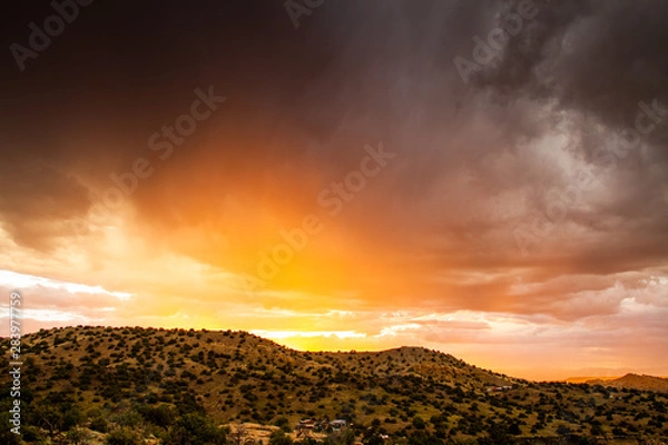 Obraz New Mexico Desert