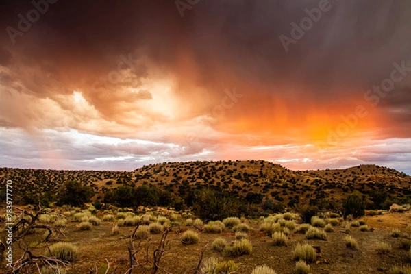 Obraz New Mexico Desert