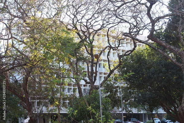 Obraz tree in the park