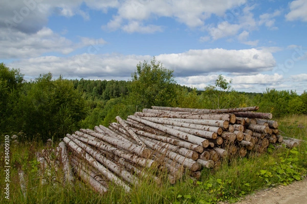 Obraz logging logs on road