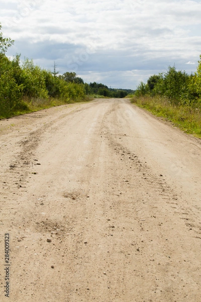 Obraz Road in  forest tire prints