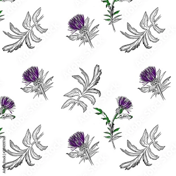 Fototapeta thistle flower and leaf pattern