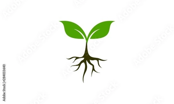 Fototapeta Ikona roślin