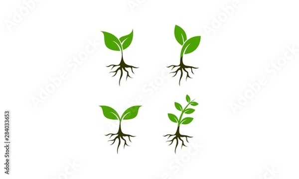 Fototapeta Plant set template vector