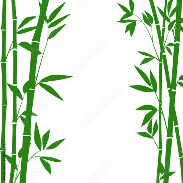 Obraz Bamboo forest for background EPS 10