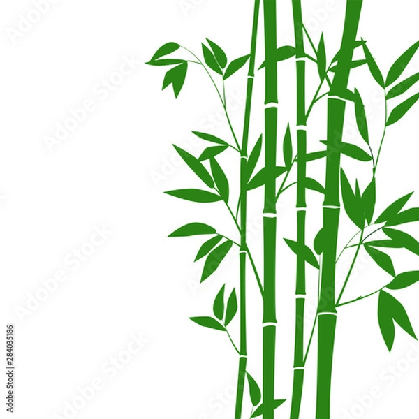 Obraz Bamboo forest for background EPS 10