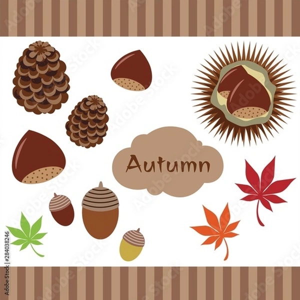 Fototapeta 秋のイラスト素材　栗　松ぼっくり　紅葉　どんぐり