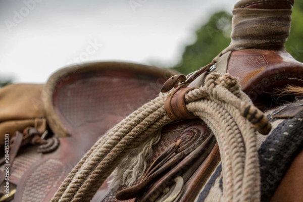 Obraz Saddle and Lasso