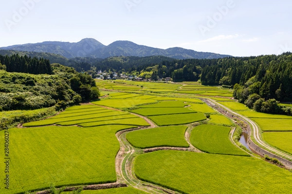 Obraz 男鹿半島　田園風景