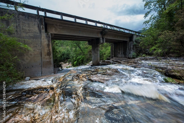 Obraz bridge in the forest