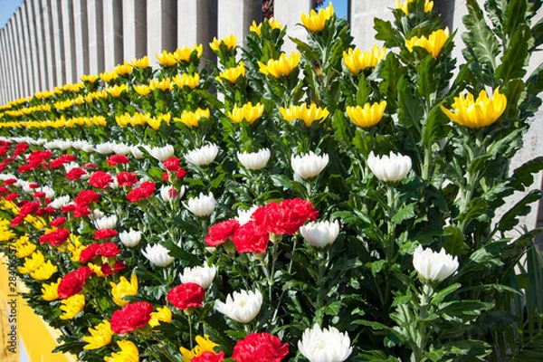Fototapeta 太平洋戦全国空爆犠牲者追悼平和祈念式