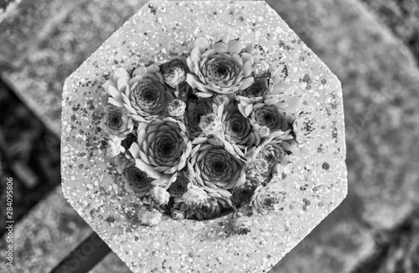 Obraz Decorated cemetery stone