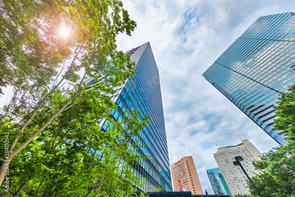 Fototapeta 曇り空の新宿高層ビル群と新緑の木