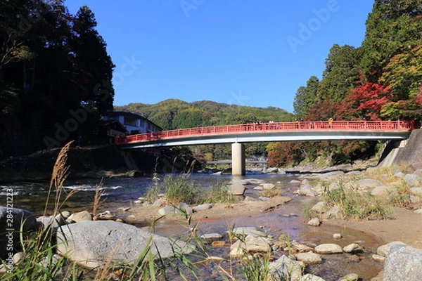 Fototapeta 紅葉 香嵐渓