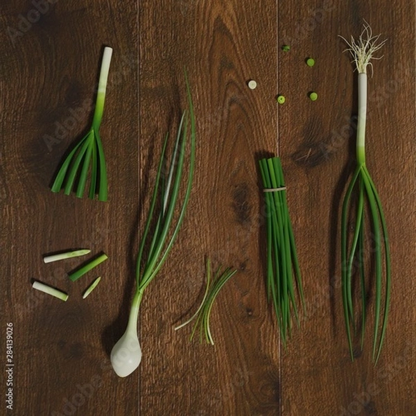 Obraz 3D rendered Green onion composition