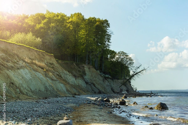 Obraz steine und grüne bäume Wald an steilküste bei lübeck ostsee, hermannshöhe