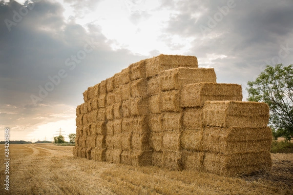 Fototapeta Strohquader nach der Ernte auf einem Feld am Abend