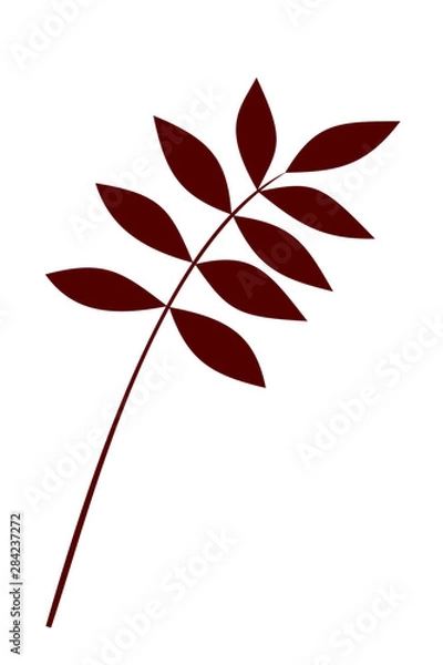 Obraz Plant Branch with Brown Leaves