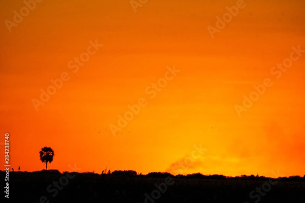 Obraz sunset on brush fire Okavango