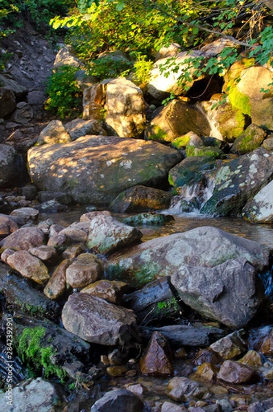 Obraz The slow flowing creek as it rolls over the rocks and down the forest. 