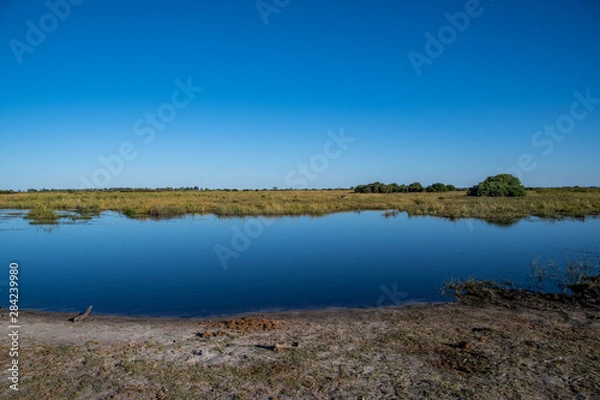 Obraz Okavango views