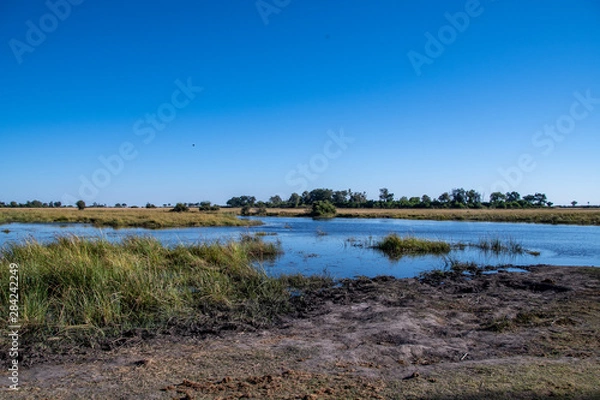 Obraz Okavango views