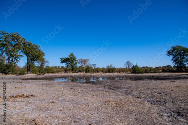 Obraz Okavango views