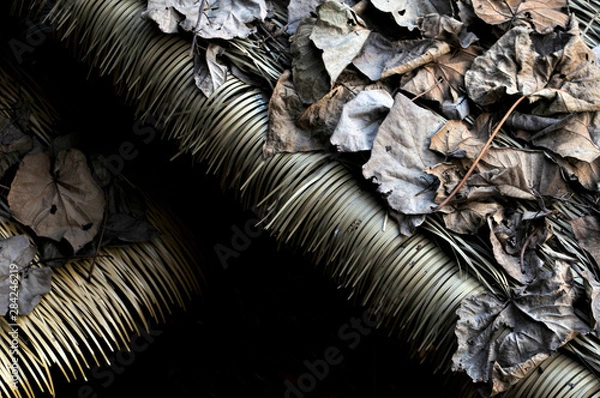 Obraz Fallen leaves on the roof