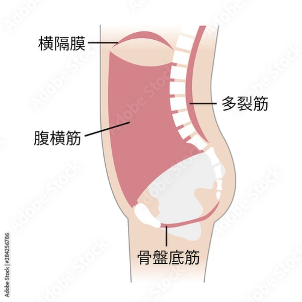 Obraz インナーユニット
