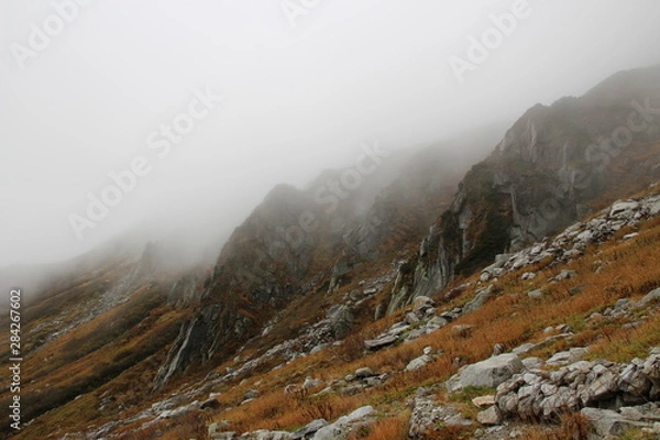Fototapeta 霧が立ち込める岩山（宝剣岳）