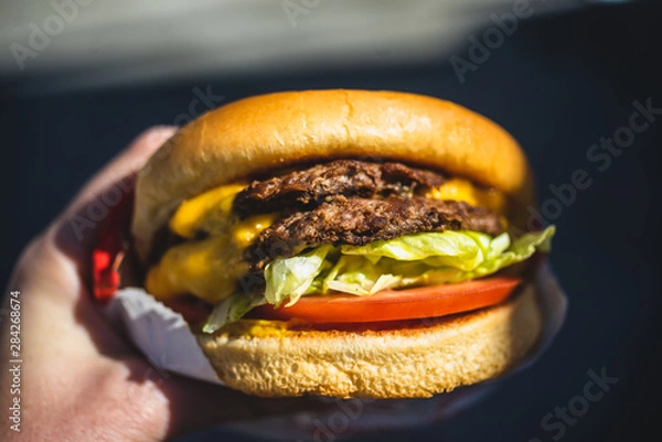 Obraz person holding a cheeseburger