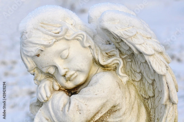 Fototapeta Schlafengel, Winter