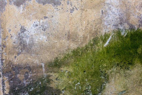 Fototapeta old battered beige gray concrete wall with scratches, cracks and green stains of moss and mold. rough surface texture