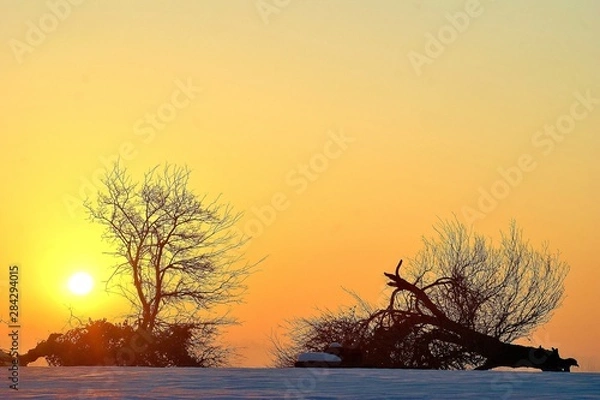 Fototapeta alba invernale 
