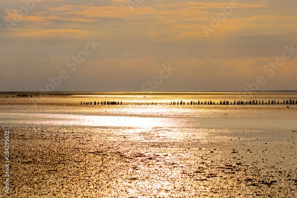 Obraz sunset northsea ebb low tide